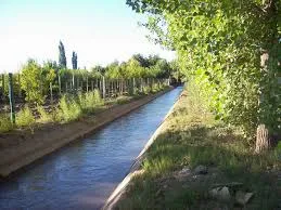 IMG-20240816-WA0019