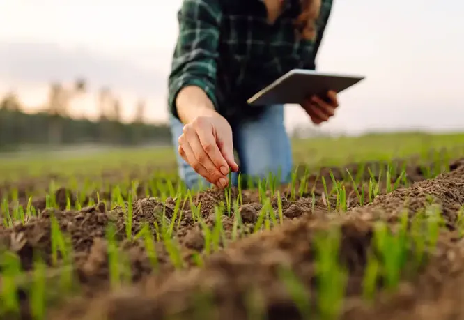 sr-agric digital